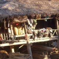 Habitat-au-Centre-Nord-Laos-880x280