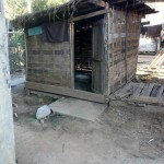 Latrine-bambou-e1320698195846-150x150