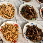 PLATS-INSECTES-e1320704108245-150x150