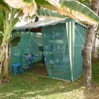 Tente-expérimentation-élevage-grillons-1024x768