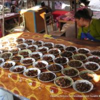 VENTE-INSECTES-MARCHE-1024x768