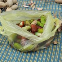 VENTE-INSECTES-e1320703258190-500x288